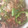 ゆち8's cooksnap of when they made 豚肉とピーマンのオイスター炒め.