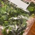 ma2kaboch's cooksnap of when they made ほうれん草の冷凍保存方法・茹で方.