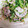 山原水鳥's cooksnap of when they made ごまマヨで♪豆苗と蓮根のツナサラダ.