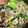 クックWBAF43☆'s cooksnap of when they made 豚バラとキャベツ、しめじのピリ辛塩ダレ丼.