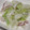 ヨシヨッシー's cooksnap of when they made 白菜と竹輪のマヨ和え.