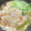 クックM6DK2O☆'s cooksnap of when they made 材料少しで♡さといものおろし鍋♪.