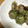 Sac’HiNa's cooksnap of when they made 簡単♪コロコロ里芋の田楽風みそ炒め♡.