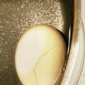 ☆ミルミル's cooksnap of when they made 温泉たまごと、ゆで玉子を同時に♪.