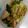 クックプ～'s cooksnap of when they made 地味に絶品セロリと厚揚げの煮物★作り置き.