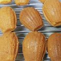 こも29's cooksnap of when they made 初心者でも簡単マドレーヌ。.