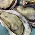 クック7MD8L1☆'s cooksnap of when they made 殻付き牡蠣のフライパン蒸し☆.