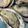 クック7MD8L1☆'s cooksnap of when they made 殻付き牡蠣のフライパン蒸し☆.
