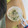 ゆきちん121212's cooksnap of when they made れんこんときゅうりのごまマヨサラダ.