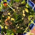 大熊猫さん's cooksnap of when they made ワカメたっぷり豆苗と豆腐のサラダ.