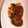 くーー〜's cooksnap of when they made 豚挽き肉と白菜のハンバーグ☆.
