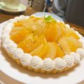 むーんきゃっと's cooksnap of when they made レアチーズタルト 何度も作りこの味に。.