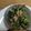 るるそら's cooksnap of when they made 簡単！時短！ほうれん草の胡麻和えおひたし.