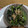 るるそら's cooksnap of when they made 簡単！時短！ほうれん草の胡麻和えおひたし.