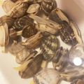 ウッディー♡'s cooksnap of when they made 50度洗い♡短時間であさりの砂抜き.