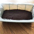 おかしらん's cooksnap of when they made レンジで簡単！米粉蒸しパン.