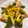 ちゃまたまご's cooksnap of when they made ＊鶏皮ときのこのオイスターソース炒め＊.