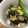Sac’HiNa's cooksnap of when they made レンジで簡単☆茄子ピーマンの塩昆布和え。.
