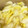 ひまわり６号's cooksnap of when they made 白菜の和風バター煮.