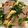 sacching's cooksnap of when they made メインになる！簡単ほうれん草のソテー！.