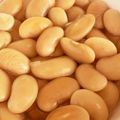 三人娘のお家's cooksnap of when they made 白いんげん豆の煮方(覚書).