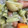 手抜きクック's cooksnap of when they made 茅の舎野菜だしで作る簡単ポトフ.