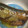 ☆ひろみこ☆'s cooksnap of when they made 冷やして！優しい甘さのさんまさっぱり煮.