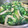 るんちん♪'s cooksnap of when they made 節約！簡単おかず＊小松菜と油揚げの煮浸し.