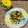Laufen's cooksnap of when they made なんこつのねぎ塩炒め.