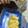 ぴこってぃ's cooksnap of when they made 鶏ガラでだし巻き風たまご焼き♪.