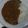 ニトロトトロ's cooksnap of when they made 【男飯】とろけるカレー.