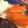 harutop's cooksnap of when they made レンジで 人参のグラッセ.