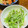 はっぴぃ☆モソモ's cooksnap of when they made 水菜とカニカマのゴママヨあえ.