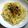 Ｒｔａｎ's cooksnap of when they made 野沢菜としらすの和パスタ～>゜)))彡.