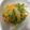まん！'s cooksnap of when they made 豆苗と人参ともやしの塩昆布ナムル.