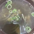 クックOBSDVC☆'s cooksnap of when they made 【腸活】舞茸スープ.