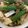 0720まま's cooksnap of when they made 山芋とオクラの梅和え.