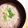konochin's cooksnap of when they made おでんの残り汁で、翌朝は雑炊にしよー♪.