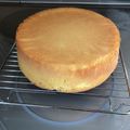 けいこし's cooksnap of when they made 失敗しない＊ふわふわ共立てスポンジケーキ.