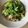 ピーナッツ子♪'s cooksnap of when they made 牡蠣と小松菜の醤油バターソテー.