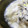 クックM96XDX☆'s cooksnap of when they made 牡蠣と卵のふわふわ.