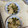 クックQT23CK☆'s cooksnap of when they made 定食屋の定番！カレイの煮付け.