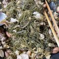 げんたにゃん's cooksnap of when they made クーブイリチー.