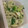 ユカtoマオマオ's cooksnap of when they made ☆花粉症対策☆ささみと蓮根のネギ塩ダレ.