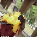 snow012's cooksnap of when they made メチャ旨！焼き芋～アウトドア編.