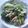 きらり流れ星's cooksnap of when they made ◆ブロッコリーとハムの炒め物◆.