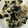 ＭＩ−ＳＡＮ's cooksnap of when they made ほうれん草とモヤシとシラスの海苔ナムル.