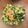 ☆★チョコ☆★'s cooksnap of when they made カリフラワーの葉っぱと茎のサラダ.
