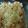 ☆pinepine☆'s cooksnap of when they made ケチャップなしでさっぱりエビマヨ.