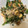 クックSNC71R☆'s cooksnap of when they made 春菊とシバエビの炒め煮.